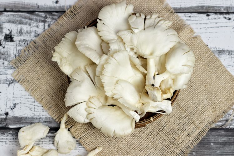 Cara Tepat Mencuci Jamur agar Tetap Segar, Bersih, dan Aman Dikonsumsi