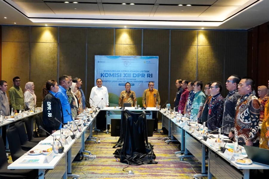 Menuju Pusat Energi Bersih Nasional Lampung Perkuat Komitmen Pengembangan Energi Terbarukan