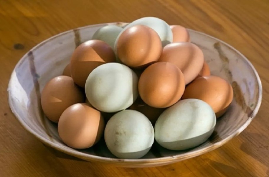 Membedah Perbedaan Telur Ayam dan Telur Bebek, Mana Lebih Sehat Dikonsumsi Setiap Hari