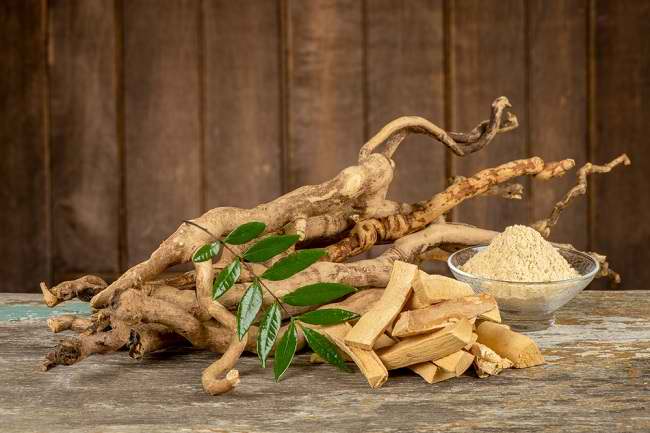 Lima Obat Herbal Indonesia Tingkatkan Vitalitas Pria Secara Alami dan Efektif