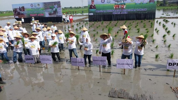 Pengurus Tani Merdeka Indonesia (TMI) Gresik Resmi Dilantik, Perkuat Komitmen Dukung Kesejahteraan Petani dan Wujudkan Swasembada Pangan Nasional