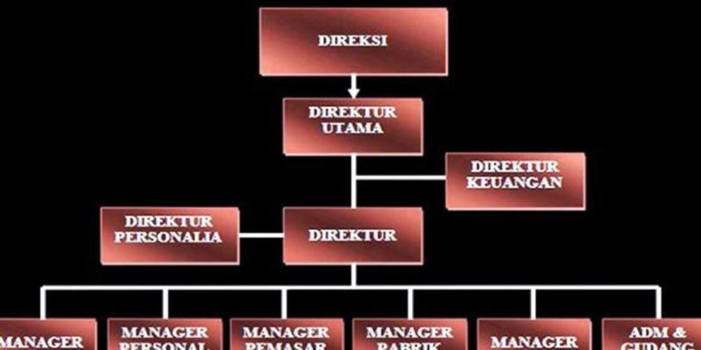 Susunan Jabatan Perusahaan Kecil Hingga Besar, Fungsi dan Contohnya