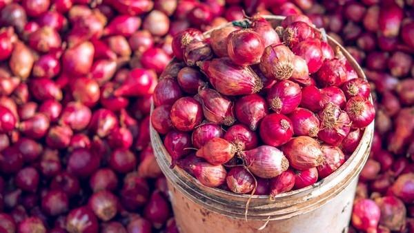 Harga Bawang Merah 46.900 Dan Cabai Rawit 83.850 Per Kilogram Terbaru