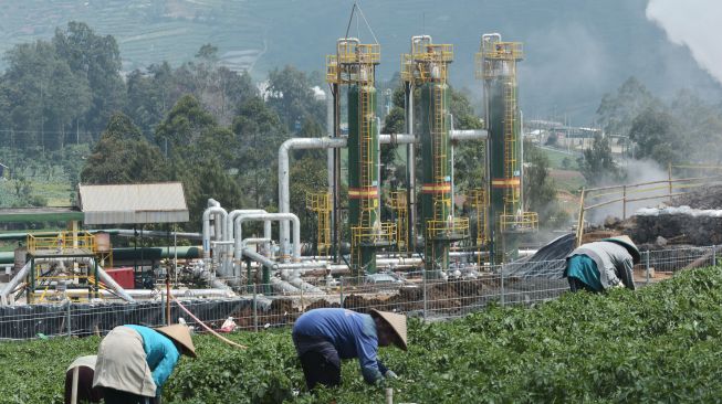 PLN Percepat Transisi Energi dengan Lelang Proyek EBT 2025