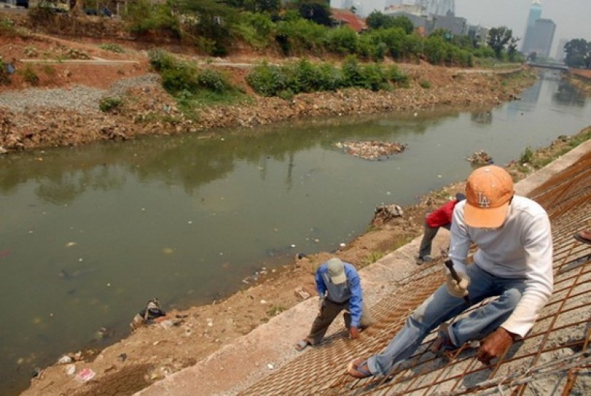 Kementerian Lingkungan Hidup Serukan Penghentian Investasi Vila di Kawasan Puncak untuk Pemulihan Sungai Ciliwung