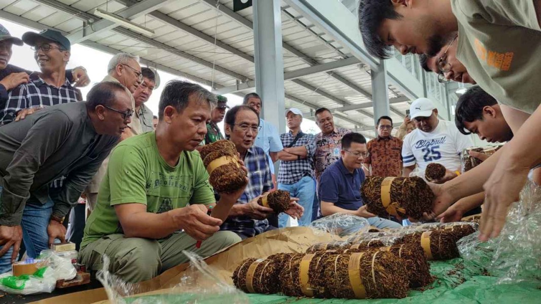 Petani Tembakau Sambut Baik Keputusan Tidak Naik Cukai 2026