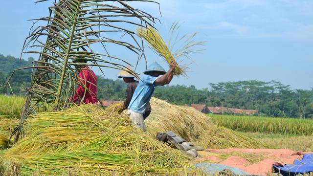 Wapres Prioritaskan Kesejahteraan Petani dan Ketahanan Pangan