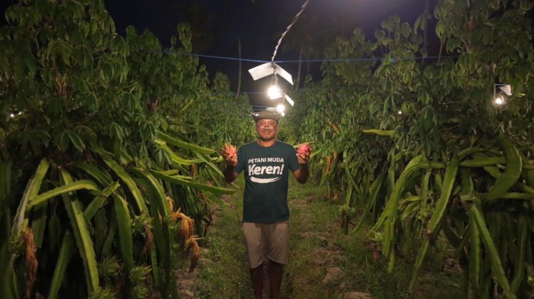 PLN Dorong Smart Farming dengan Teknologi Listrik