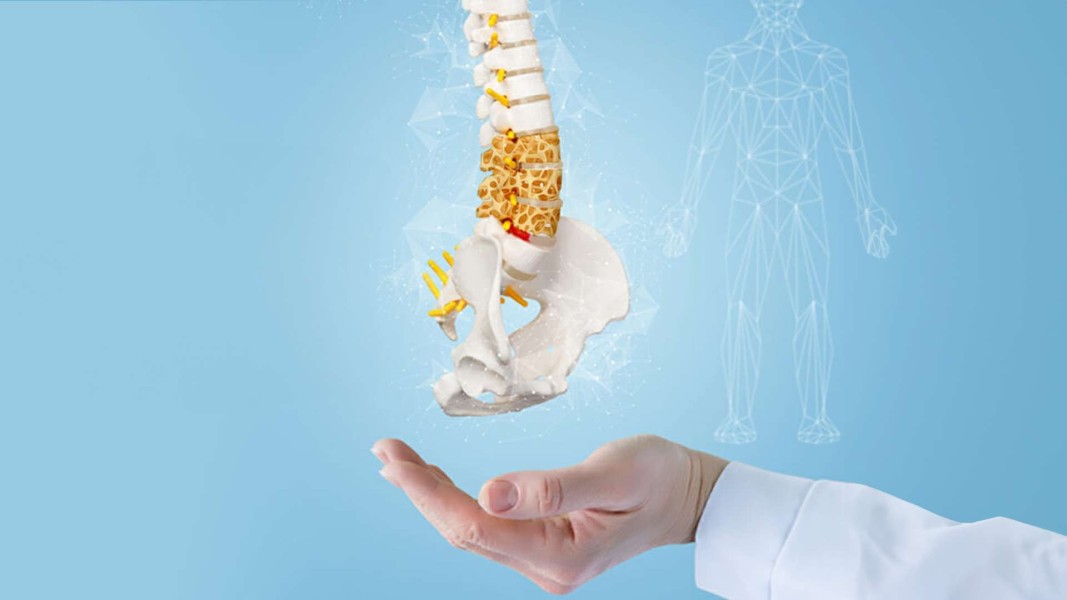 Peduli Kesehatan Tulang Sejak Dini untuk Mencegah Osteoporosis di Masa Tua