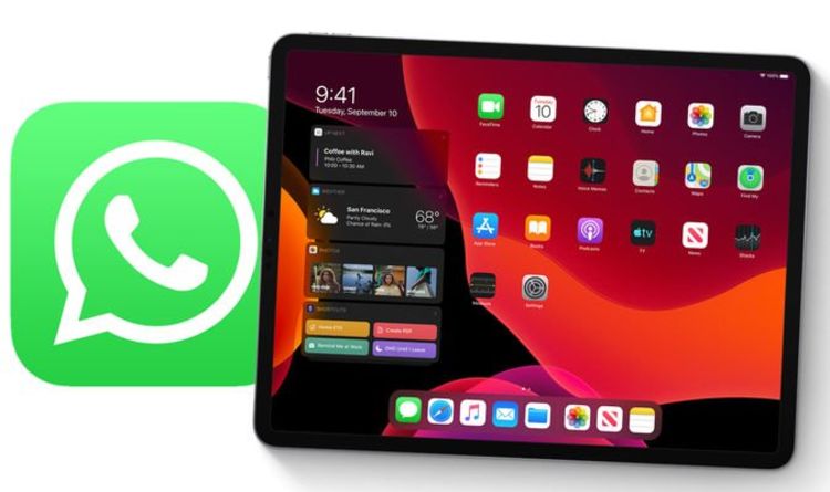 Setelah 15 Tahun Dinanti, WhatsApp Resmi Hadir di iPad dengan Dukungan Layar Lebar dan Fitur Lengkap
