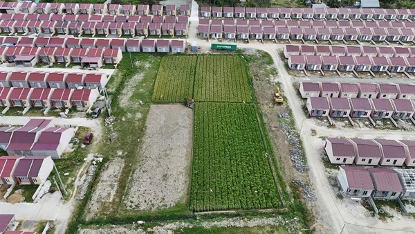 Maraknya Alih Fungsi Lahan Pertanian Jadi Perumahan di Lamongan, Masyarakat Soroti Dampak Terhadap Ketahanan Pangan
