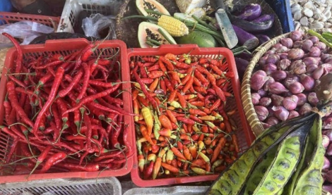 Harga Bahan Pangan di Jambi Bergerak Dinamis: Cabai Merah Melonjak Tajam, Minyak Goreng Menurun