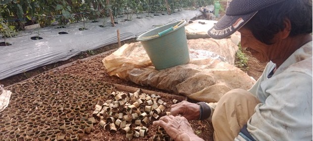 Petani Binaan BAZNAS Garut Inovasi Gunakan Daun Aren Gantikan Polybag Plastik: Solusi Ramah Lingkungan dan Hemat Biaya