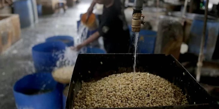 Nego Tarif Trump RI Siap Borong Komoditas Pertanian AS