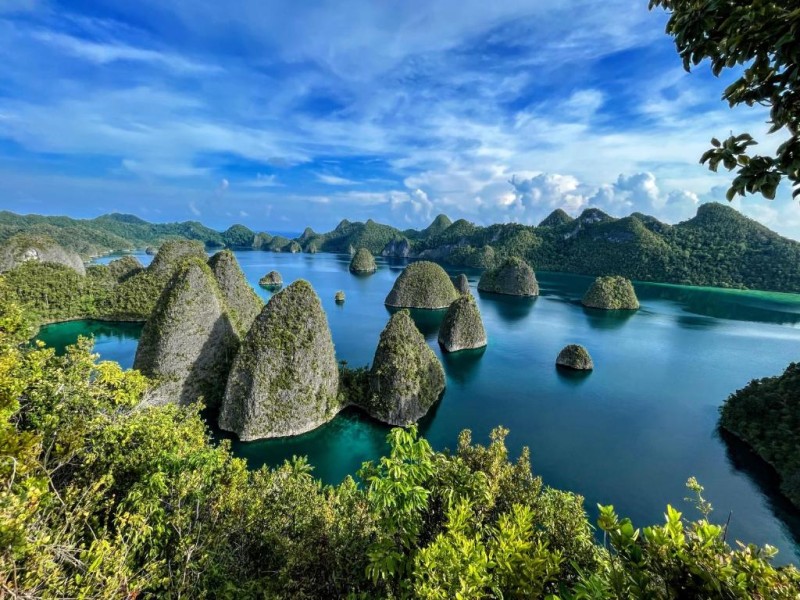 Keindahan Raja Ampat Surga Bawah Laut
