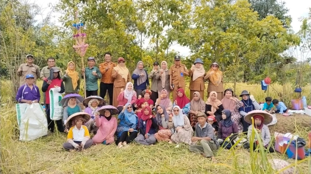 Petani Wanita Tigaron Bukti Potensi Pertanian Unggul