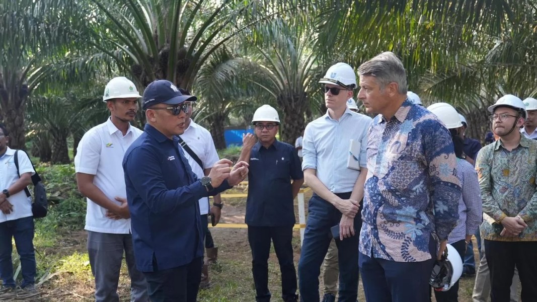 PTPN IV PalmCo Perkuat Sawit Berkelanjutan Lewat Tiga Pilar