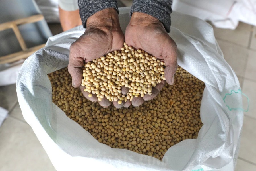 Pemerintah Beri Subsidi Kedelai Rp2.000 Per Kg Lewat Bulog