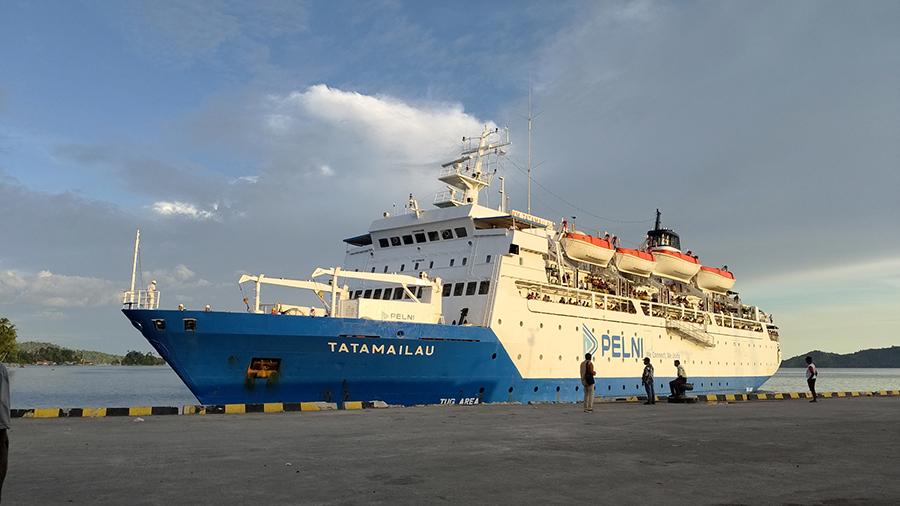 Jadwal Kapal Pelni Merauke Tual Terbaru 2025