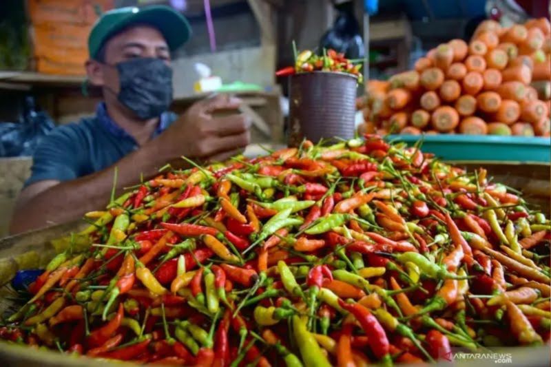 Harga Pangan Nasional Cabai Rawit, Ayam dan Beras Terbaru 12 Maret 2026