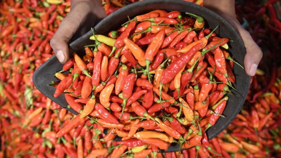 Harga Cabai Rawit Merah Naik Tajam, Sembako di Jatim Alami Fluktuasi Harga Cabai Rawit Merah Naik Tajam, Sembako di Jatim Alami Fluktuasi