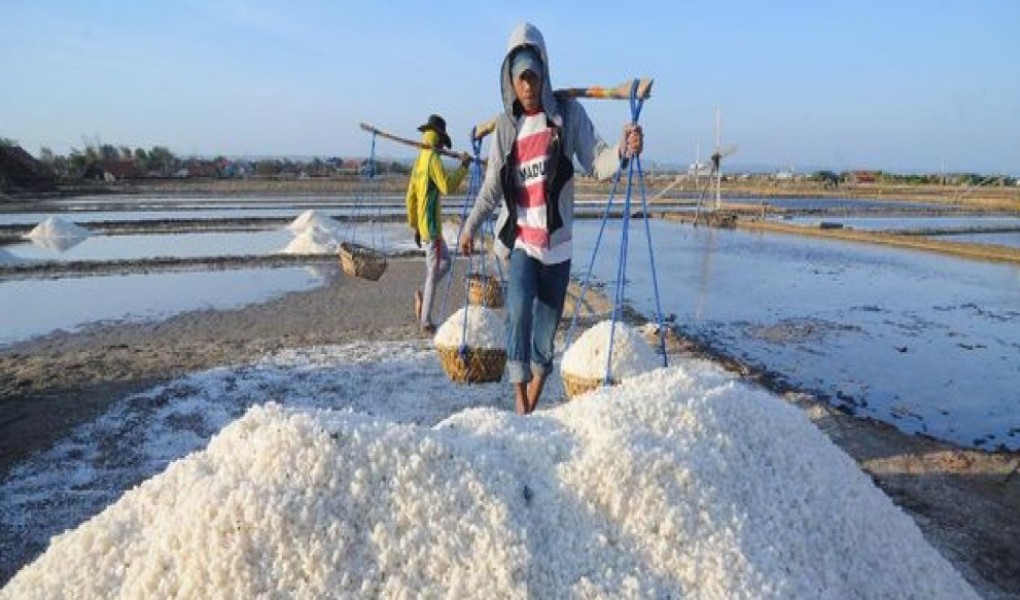 Mengulik Asal Julukan Madura sebagai Pulau Garam Indonesia