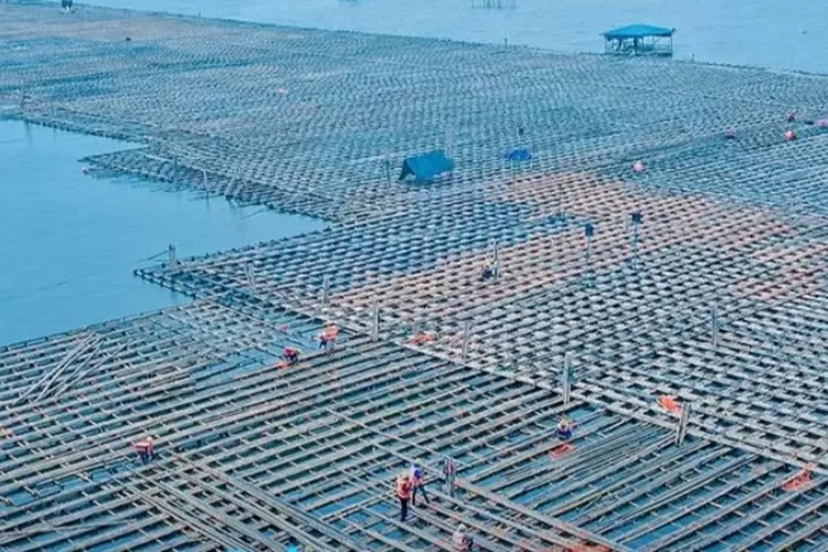 Proyek Tol Semarang Demak Gunakan Matras Bambu 13 Lapis, Selesai 2027