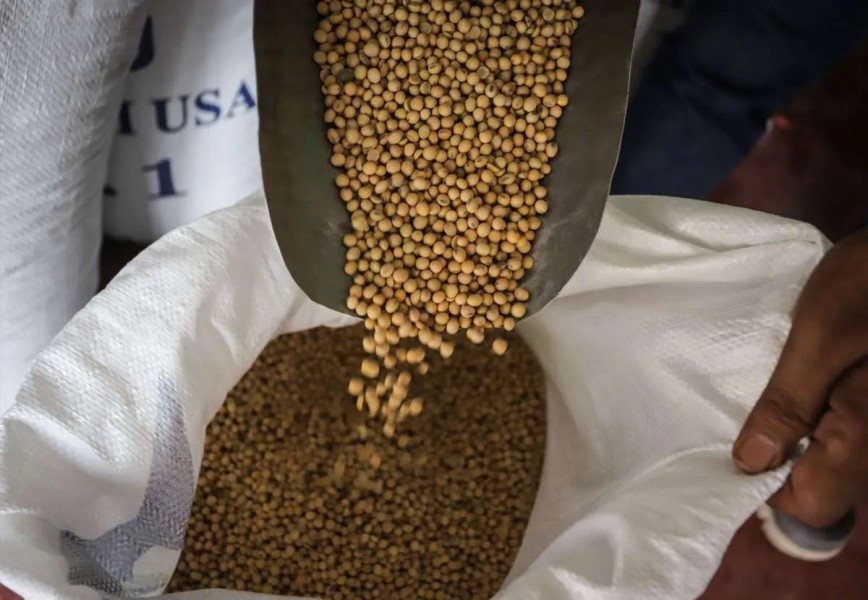 Akindo: Impor Kedelai AS 3,5 Juta Ton per Tahun Aman untuk Kebutuhan Nasional