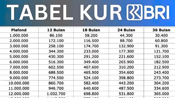 KUR BRI Jadi Andalan UMKM Hadapi Tekanan Modal Usaha