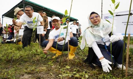 Upaya PTPP Tanam 1.000 Mangrove di Pesisir Tambakrejo: Solusi Cerdas Cegah Abrasi dan Lindungi Masyarakat