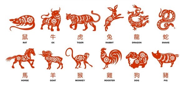 Ramalan 6 Shio Paling Hoki Akhir Tahun 31 Desember 2025 Lengkap