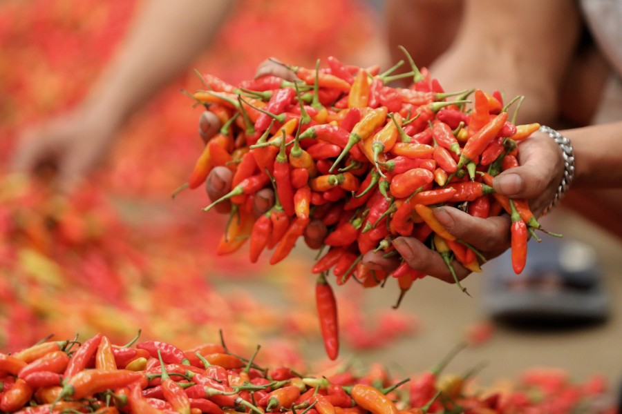 Harga Cabai Rawit Merah Tinggi, PIHPS Pantau Stabilitas Pangan