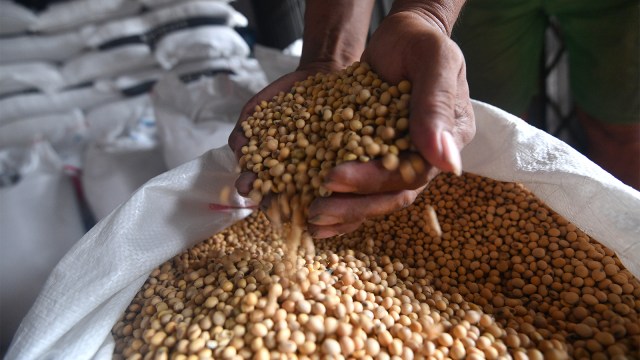 Tantangan Petani AS di Tengah Janji Impor Kedelai Tiongkok