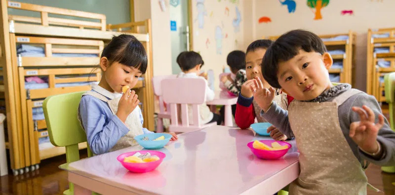 Program Makanan Gratis di Sekolah: Keberhasilan Jepang dan Tantangan Implementasi di Indonesia