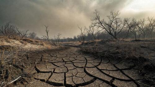 Prediksi BMKG: Musim Kemarau 2026 di Jawa Timur Diprediksi Lebih Panjang dan Kering