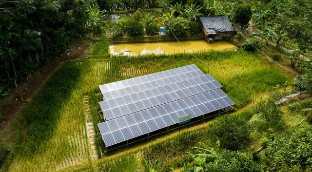 PT Bukit Asam Dorong Kemandirian Energi Petani Lewat PLTS Irigasi