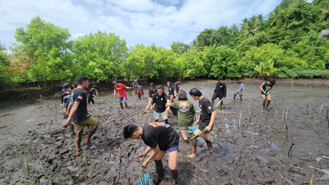 Inspiratif, Komunitas Sang Alang Tanam Bakau untuk Selamatkan Pulau Napomanu dari Abrasi di Likupang