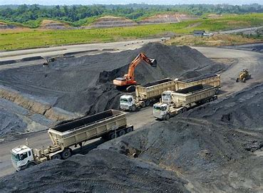 Harga Batu Bara Turun Signifikan di Tengah Lonjakan Produksi Listrik Tenaga Surya di India