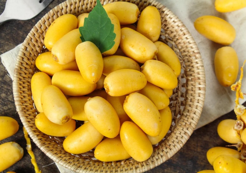 Kurma Muda Sebagai Pilihan Tepat Dukung Kesuksesan Program Hamil