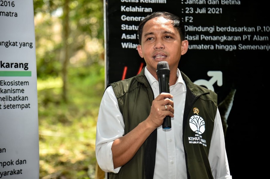 Pemerintah Dorong Perhutanan Sosial Jadi Penggerak Ekonomi Inklusif Nasional