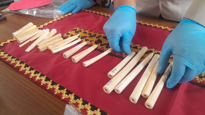 Pedagang Sepatu di Bandar Lampung Ditangkap Polisi karena Menjual Pipa Rokok dari Gading Gajah