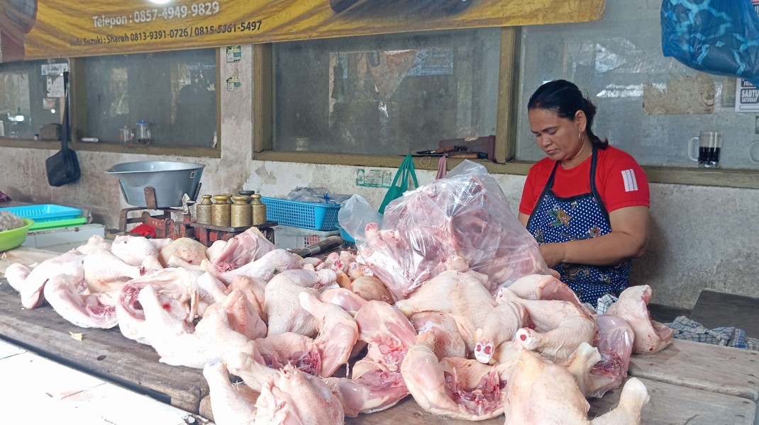 Cek Harga Bahan Pokok Ayam, Cabai, Bawang 11 Oktober 2025