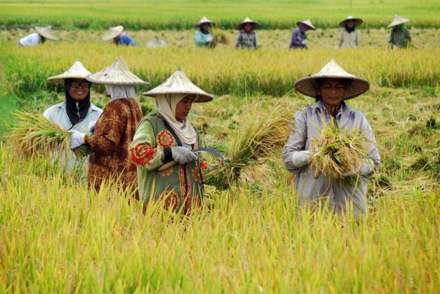 Ketua DPRD Kutim Temui Petani di Cipta Graha, Tegaskan DPRD Bukan Sekadar 