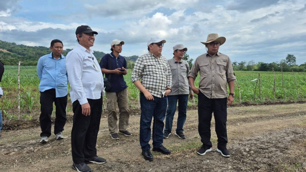 Mentan Dorong Hilirisasi Ayam Terintegrasi untuk Sejahterakan Peternak dan Daerah