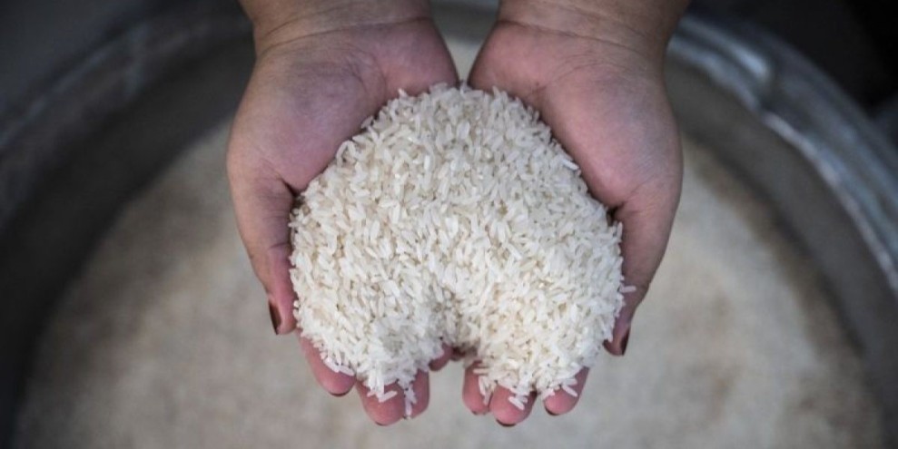 Harga Beras Mengalami Kenaikan Stabil di Semua Level Distribusi Nasional