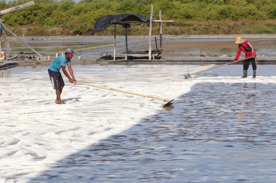 Pemprov Jatim Genjot Kesejahteraan Petani Lewat Perda Perlindungan Garam