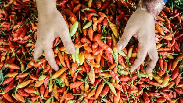 Harga Pangan Terkini: Cabai Rawit dan Bawang Merah Naik Signifikan