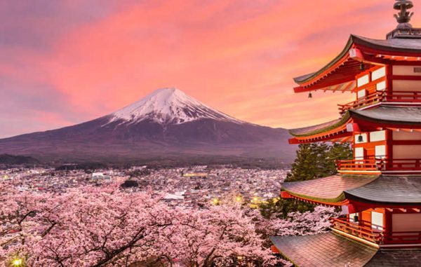Biaya Trip Sakura Jepang Tahun 2026 Diprediksi Turun