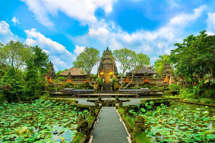 Deretan Aktivitas Terbaik di Ubud Bali yang Wajib Dicoba Wisatawan Dunia 2026