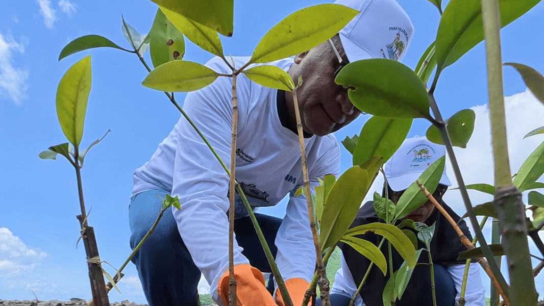 PNM Tanam Ribuan Pohon Dukung Gerakan Lingkungan Nasional